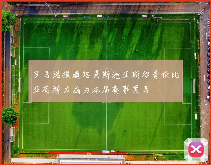 罗马诺报道路易斯迪亚斯称哥伦比亚有潜力成为本届赛事黑马